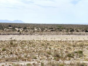 Piso cabo de Gata Soledadencinas 10